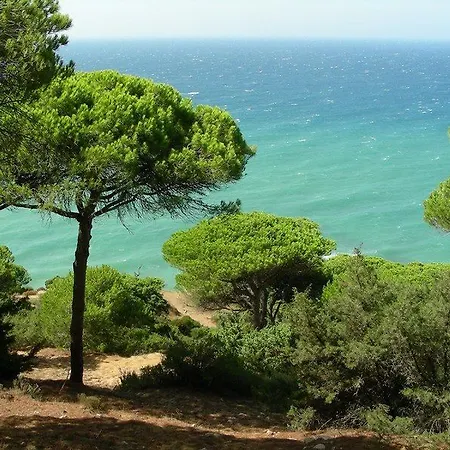La Aceitera De Trafalgar Guest house 3*