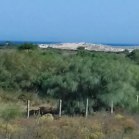 La Aceitera De Trafalgar Barbate